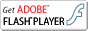 Adobe Flash